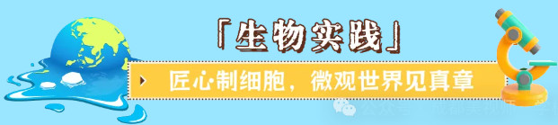 101306-1341.jpg 2025-10-13_100506.jpg